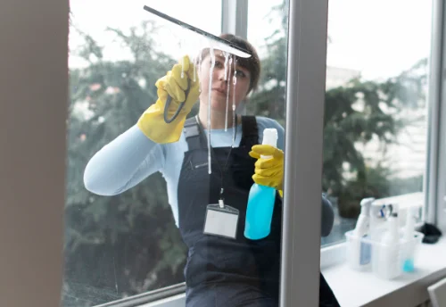 Nettoyage de vitres intérieures et extérieures à Saint-Germain-Lespinasse